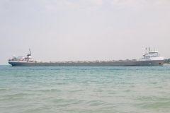 D11_5555.jpg
